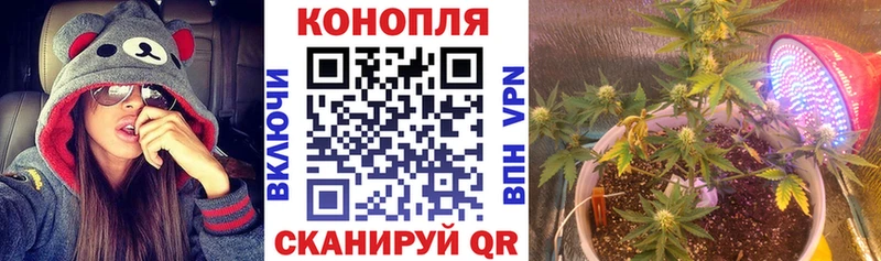 Конопля гибрид Минусинск
